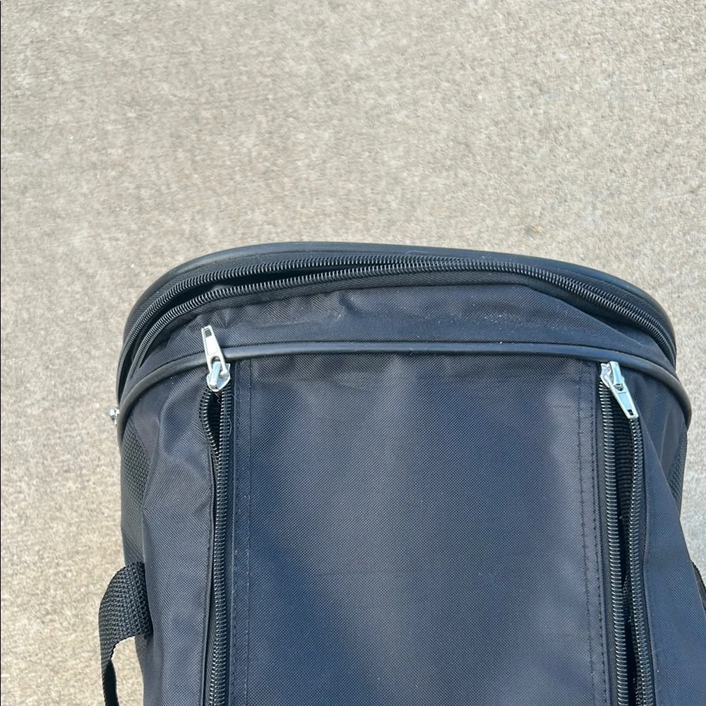 Collapsible cat carrier